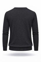 Herren Merino-V-Pullover